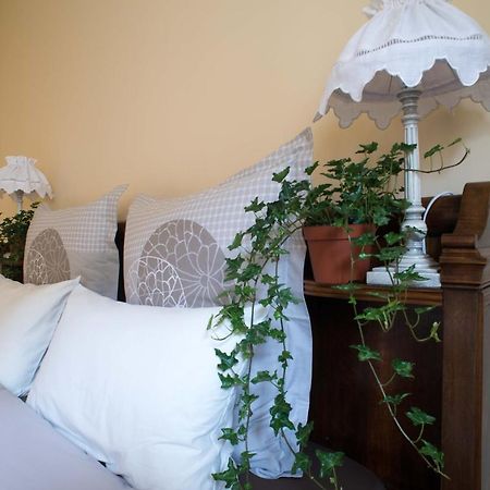 B&B J'Irais Dormir A ليون المظهر الخارجي الصورة